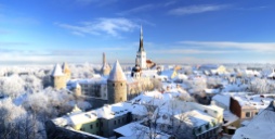 Tallinn city. Estonia. Snow on trees in winter, panoram view